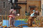 Dcim10985/DSC_2440