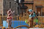 Dcim10985/DSC_2441