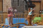 Dcim10985/DSC_2443