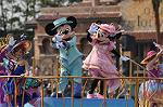 Dcim10986/DSC_2555