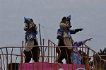 Dcim10987/DSC_2729