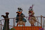 Dcim10987/DSC_2776