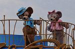Dcim10988/DSC_2876