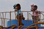 Dcim10988/DSC_2881