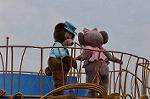 Dcim10988/DSC_2923