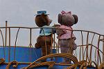Dcim10989/DSC_2989