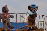 Dcim10989/DSC_3023