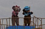 Dcim10991/DSC_3231