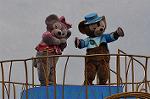 Dcim10991/DSC_3257