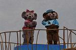 Dcim10991/DSC_3262