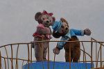 Dcim10991/DSC_3281