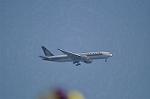 Dcim11002/DSC_4567