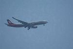 Dcim11007/DSC_0196