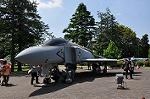 Dcim11009/DSC_5236