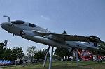 Dcim11009/DSC_5244