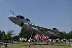 Dcim11009/DSC_5249