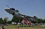 Dcim11009/DSC_5250