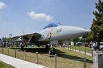 Dcim11010/DSC_5313