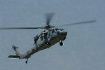 Dcim11016/DSC_0423