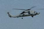 Dcim11016/DSC_0462