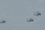 Dcim11017/DSC_0515
