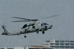 Dcim11017/DSC_0523