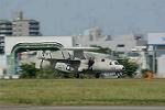 Dcim11017/DSC_0556