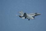 Dcim11018/DSC_0650