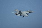 Dcim11018/DSC_0651