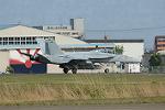 Dcim11019/DSC_0774