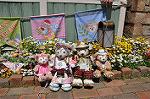Dcim11022/DSC_6174