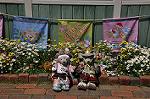 Dcim11022/DSC_6177