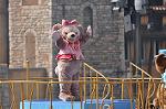 Dcim11024/DSC_6458