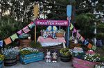Dcim11025/DSC_6665