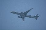 Dcim11026/DSC_0896