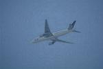 Dcim11026/DSC_0899