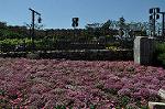Dcim11028/DSC_6874