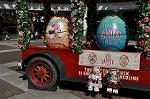 Dcim11029/DSC_7054
