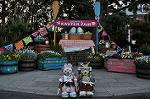 Dcim11031/DSC_7307