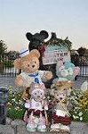 Dcim11031/DSC_7312