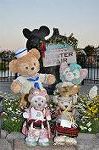 Dcim11031/DSC_7314