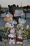 Dcim11031/DSC_7317