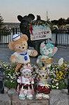Dcim11031/DSC_7319