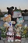 Dcim11031/DSC_7323
