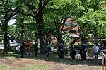 Dcim11033/DSC_7384
