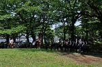 Dcim11033/DSC_7385