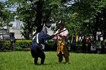 Dcim11033/DSC_7410
