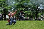 Dcim11033/DSC_7428
