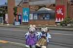Dcim11034/DSC_7574