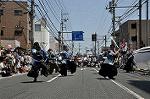 Dcim11037/DSC_7924
